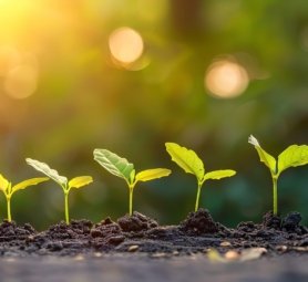 Illustration of financial growth with a group of little growing sprouts with a big space and nature backdrop for text or product advertisement, Generative AI.